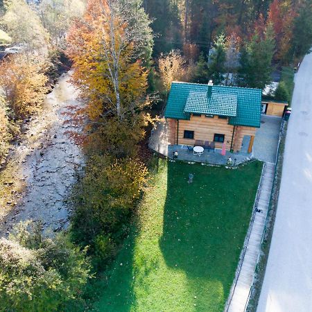 Ferienwohnungen Blockhaus - Zwergenhaeusl Грюнау-им-Альмталь Экстерьер фото