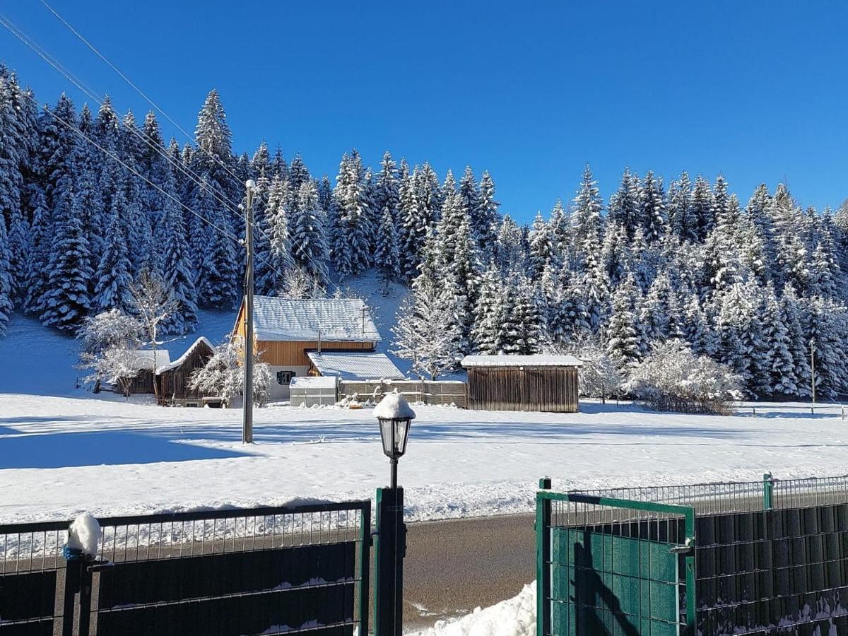 Ferienwohnungen Blockhaus - Zwergenhaeusl Грюнау-им-Альмталь Экстерьер фото